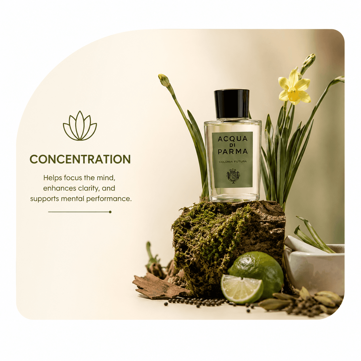موسى للعطور والزيوت العطرية
